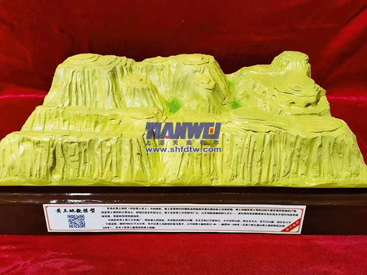 9001ccɳԳΪ(й)޹˾